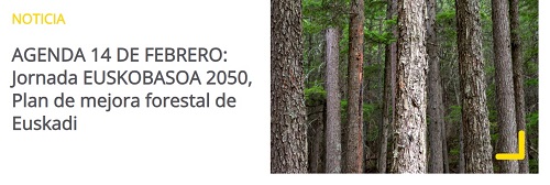 Jornada EUSKOBASOA 2050, Plan de Mejora Forestal del País Vasco